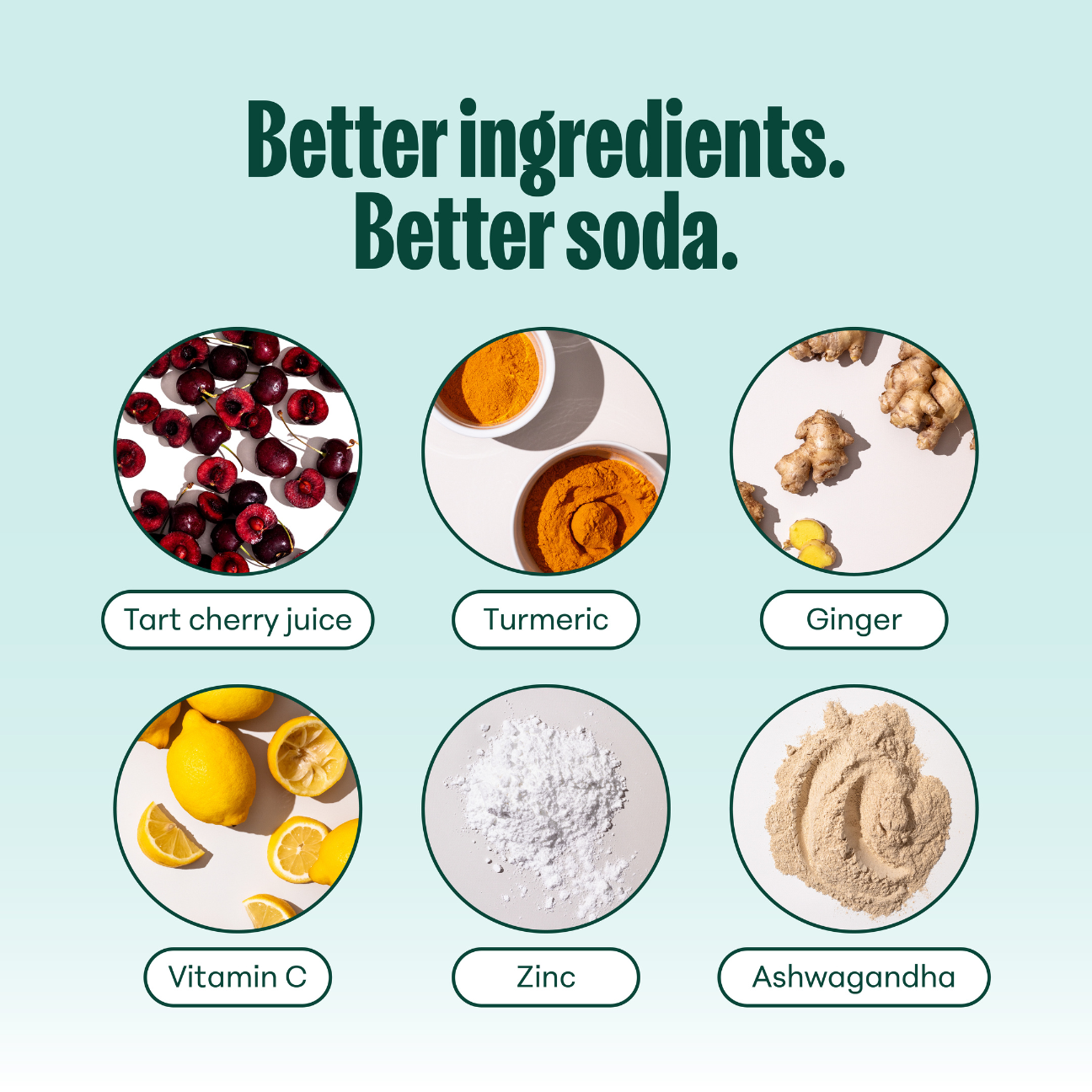 Variety Pack: Wellness Sodas